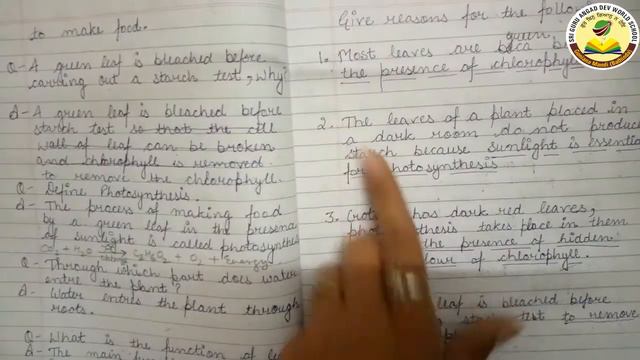 Ms. Kajal Arora ,Class-4th, Subject -Sci ,CH-1 Function of difference parts of Plants (Part 2) смотреть онлайн
