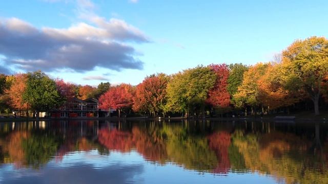 Мы родились в сибири//обзор// Давить на жалость, притворяться, Искать причину для беды// смотреть онлайн