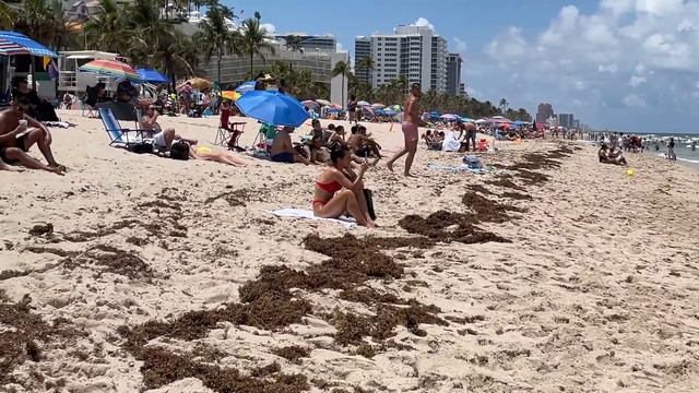 【4K】WALK Fort Lauderdale Beach Florida USA awesome vlog смотреть онлайн