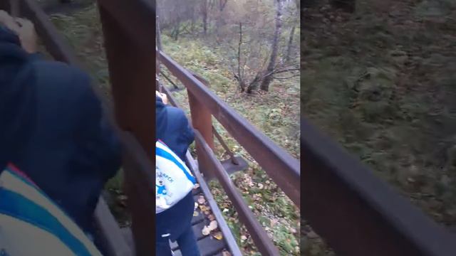 Заповедник Столбы часть 1 смотреть онлайн