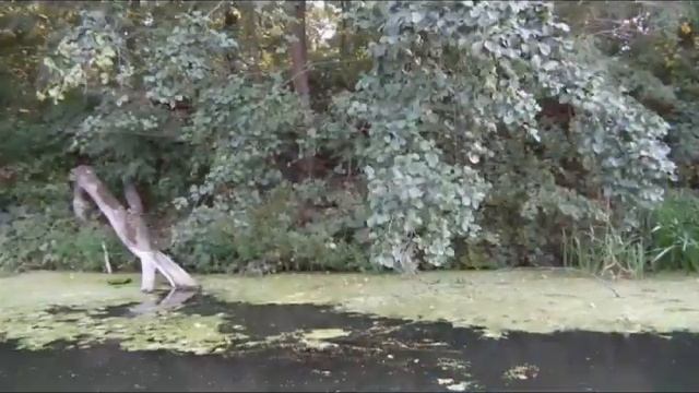 Сплав по Северскому Донцу на байдарке. смотреть онлайн