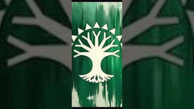 What is Selesnya in Magic: The Gathering? #mtg #magicthegathering смотреть онлайн