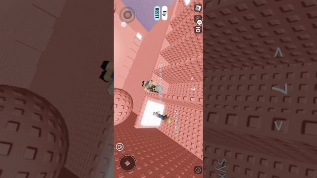 SVID_20240202_200924_1.mp4