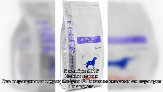 Линейка кормов Роял Канин для собак и как выбрать подходящий вариант смотреть онлайн