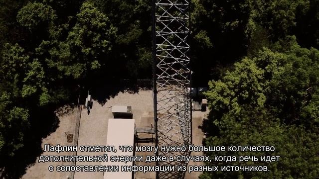 Мозг человека достиг физических пределов развития смотреть онлайн