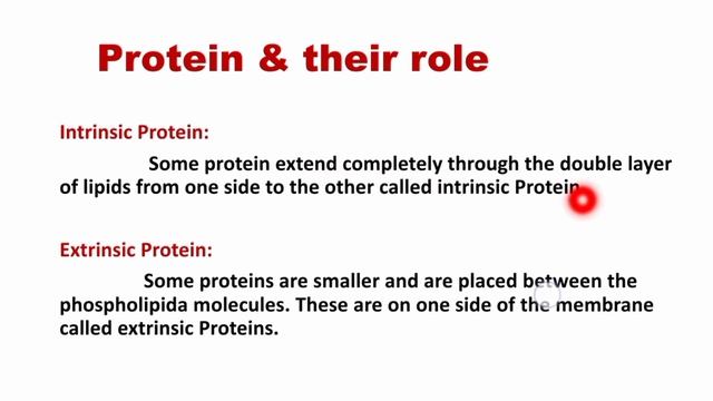 Cell membrane || AWR ACADEMY смотреть онлайн