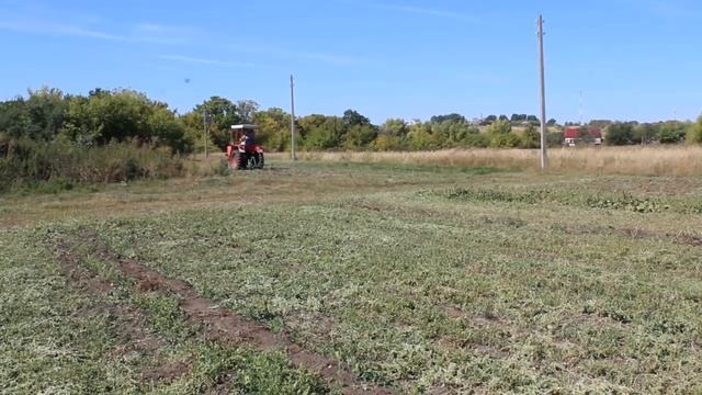 Копаем картофель сорт Гала (2020) смотреть онлайн