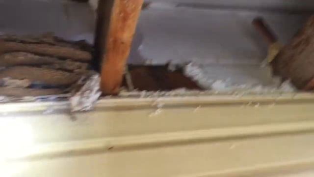 Борьба с осами! Вд40, дихлофос, рифтамид! Механическое удаление гнезда!!! смотреть онлайн