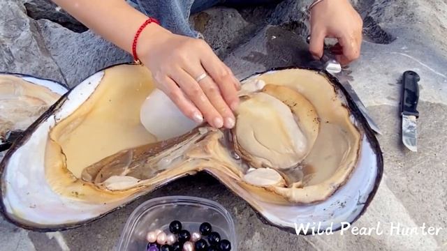 The pearls collected today are of different colors.Which one is more valuable,white or black pearls смотреть онлайн