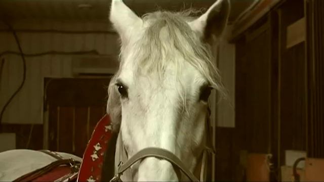 Древнеславянская оздоровительная практика..mp4 смотреть онлайн