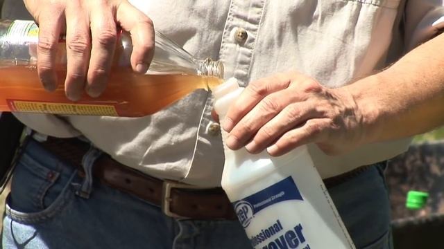 Bug Control : How to Make a Vinegar Home Remedy for Garden Pests смотреть онлайн