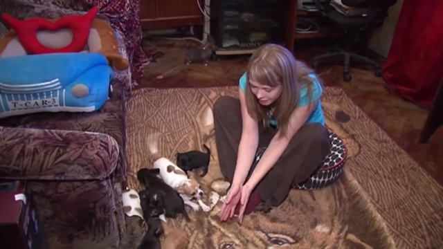 Собаки и люди: порода Басенджи и выбор спального места для животного смотреть онлайн