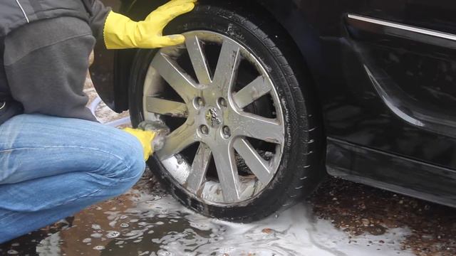 Pro-Green Car Mixer Sprayer смотреть онлайн