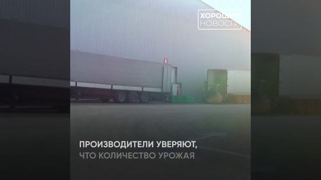 На юге России будут выращивать саженцы фруктовых деревьев и обслуживать технику смотреть онлайн