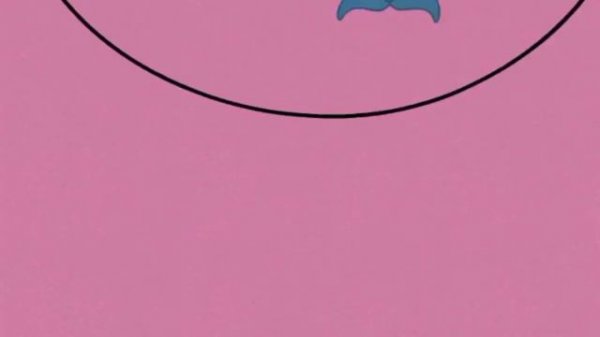 DESCRIBING ANIMALS IN ENGLISH