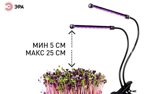 Светильник для растений на прищепке ЭРА FITO-20W-ALED-N красно-синего спектра 12 Вт черный смотреть онлайн