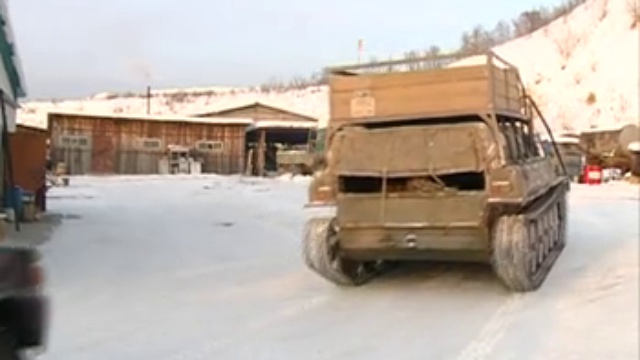 В Амурской области нашли тигра смотреть онлайн