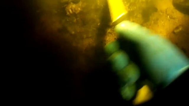 Где нырять с аквалангом, скубой в Ленинградской области смотреть онлайн