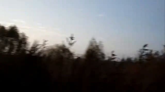 В ПАМЯТЬ О БРАТЕ смотреть онлайн