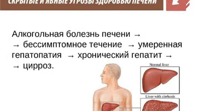 Олеопрен Гепа от компании Арт Лайф