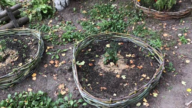 Неправильно посадила хосты смотреть онлайн