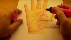 Линия Жизни - Хиромантия