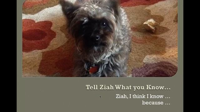 Assertions смотреть онлайн