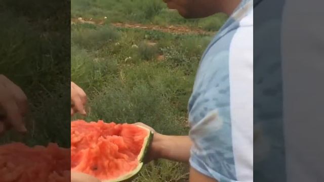 Как купить хороший Арбуз) смотреть онлайн