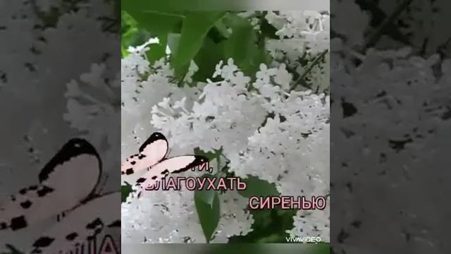 Е. Гольцберг " Ноябрь" смотреть онлайн