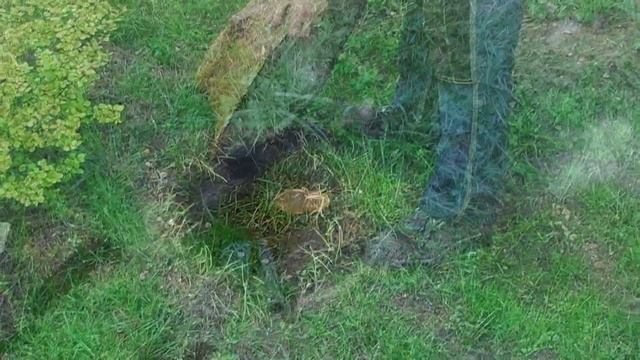 Sia.MVDV песчаник декор на вашем газоне смотреть онлайн