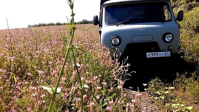 ПЧЕЛОВОДСТВО МЕДОНОС ЭСПАРЦЕТ Секреты начинающим смотреть онлайн