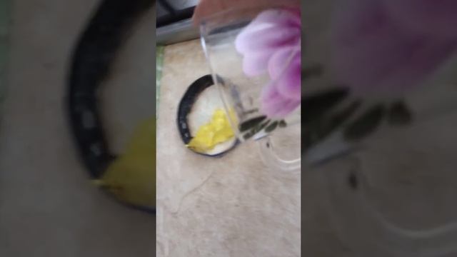 что если нагреть пластелин. НЕ ПОВТОРЯТЬ!!!!! смотреть онлайн