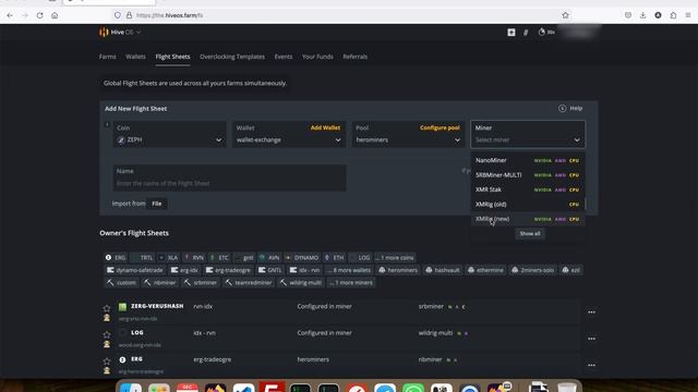 Setup HiveOS For Zeph Mining