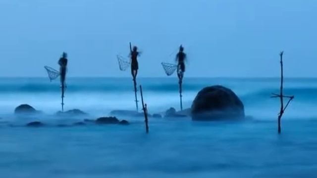 Рыбалка на сваях практикуется только в Шри Ланке смотреть онлайн