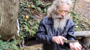 Весёлка! чудо гриб