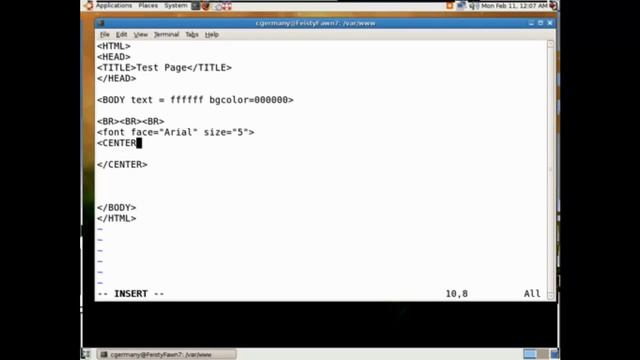 Ubuntu Daemons (7.04 Feisty Fawn): SAMBA, Apache and VSFTPD смотреть онлайн