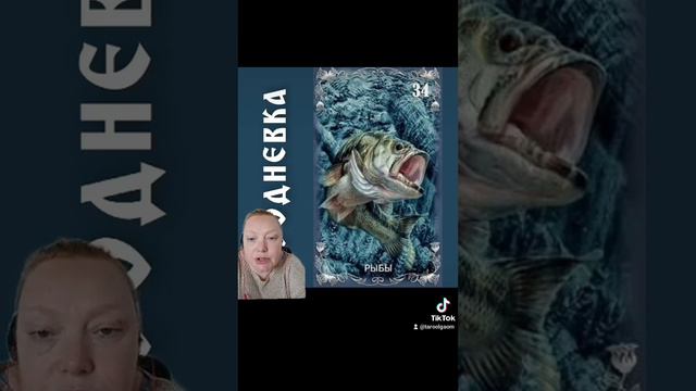 2 день #100дневка - ОРАКУЛ ПОЛНАЯ ЛУНА. Прогнозыпо картам Таро и Оракулам от Ольги Муляровой. смотреть онлайн