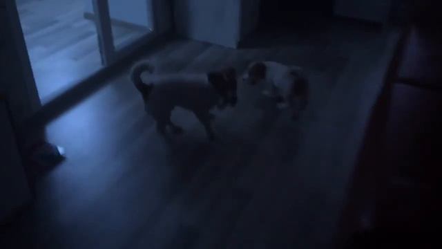 Нильс и Мартин смотреть онлайн