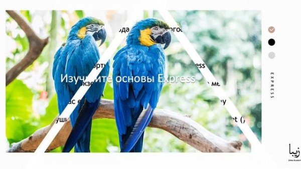 Что такое Express? Как установить Express? Основы Express