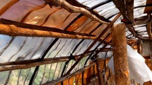 Бесплатная теплица из пластиковых бутылок