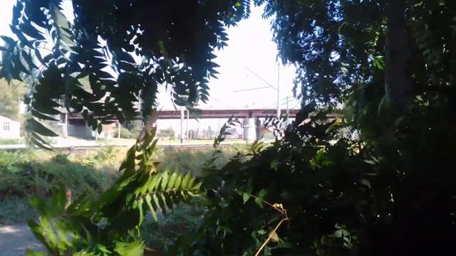 Горбатый мост смотреть онлайн