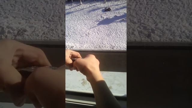 Как мой друг Артём разбил свой телефон смотреть онлайн