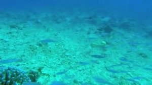 Большое путешествие вглубь океанов