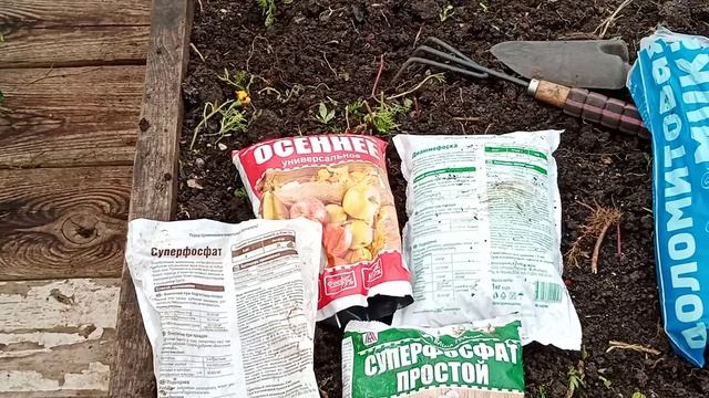 Посев седератов в теплицу осень-быстрый способ улучшить землю.Осеннее внесение удобоений в теплице. смотреть онлайн