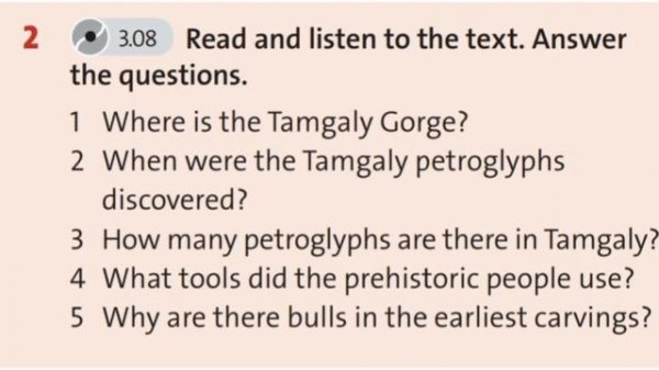English Plus 8. Module 6. MY COUNTRY Tamgaly petroglyphs. Ex 2 p. 76