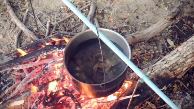 Рыбалка на ПОПЛАВОК и ЖЕРЛИЦЫ. Рыбалка на карася. смотреть онлайн