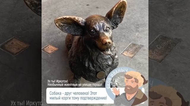 Ух ты, Иркутск! - Необычные животные. Иркутск смотреть онлайн