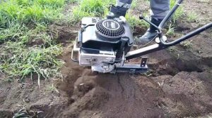 Обработка почвы мотокультиватором Тарпан