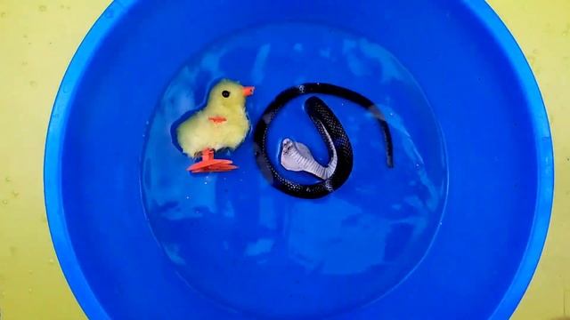 Учим Животных на английском Динозавр Корова Собака Тигр Развивающие Мультики для Детей смотреть онлайн