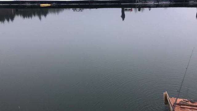 Вываживание форели РК «Фишка» Петряиха смотреть онлайн